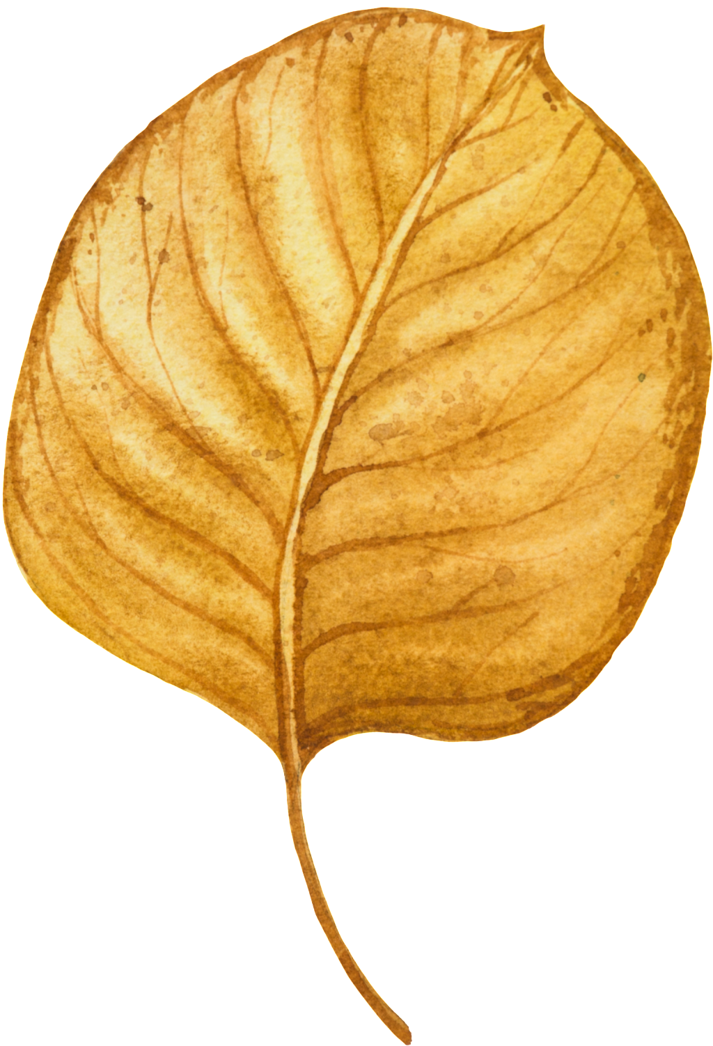 Hand Painted A Piece Of Yellow Fallen Leaves Vector - Leaf (1024x1503), Png Download