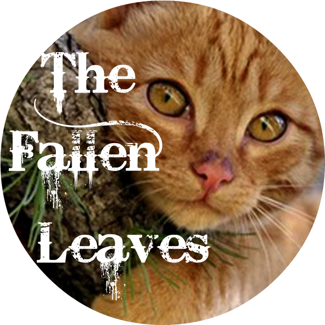 The Fallen Leaves Bannerpng - Paul Wesley (1128x1163), Png Download
