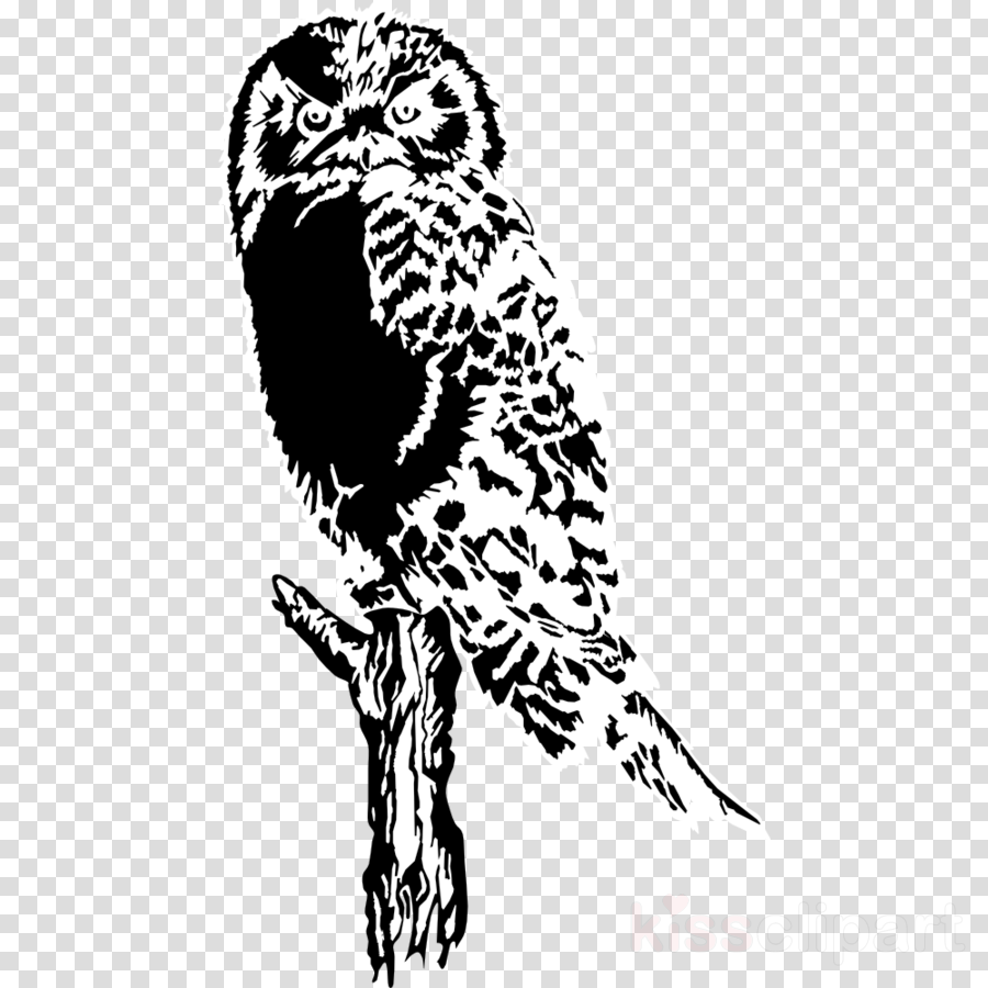 Owl Silhouette Clipart Owl Bird Clip Art - Owl Silhouette (900x900), Png Download
