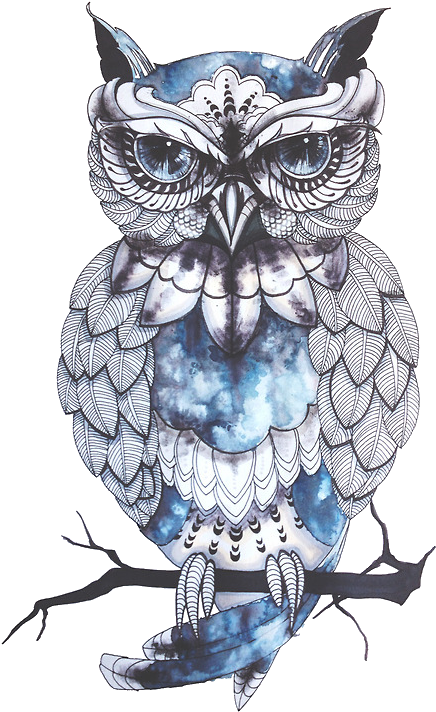 Tumblr N4yiz5deny1ts0inmo1 500 - Blue Owl Tattoo (500x728), Png Download