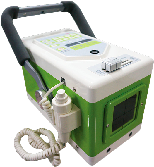Ideal Para Su Uso En Equino - X-ray (544x600), Png Download