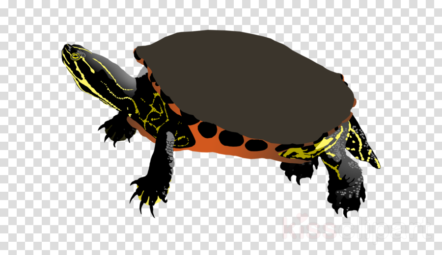 Rainbow Black Icon Png Clipart Computer Icons Clip - Vector Graphics (900x520), Png Download