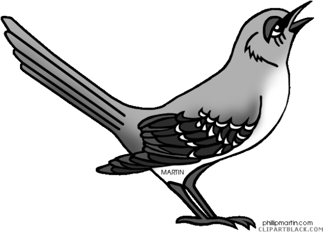 Mockingbird Clipart Black And White - Northern Mockingbird Clipart (640x480), Png Download