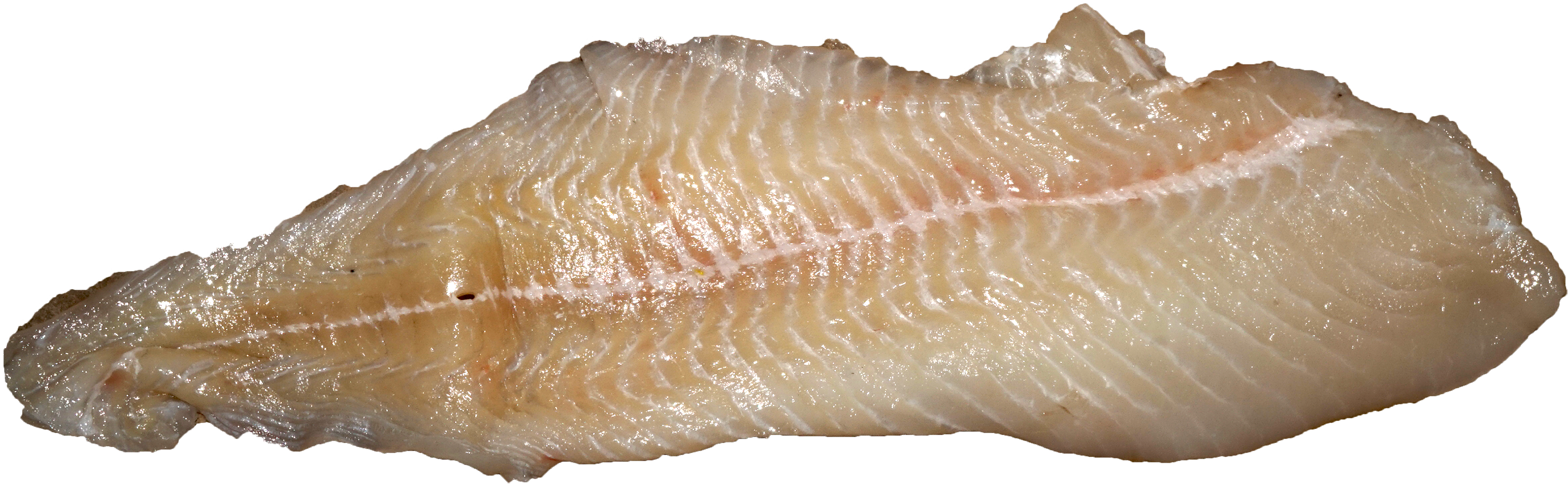 Pike Fillet - Wikimedia Commons (3535x1174), Png Download