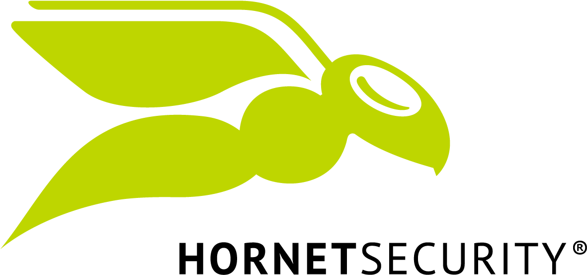 Hs Logo Flat 3c Rz - Hornetsecurity Logo (1240x614), Png Download