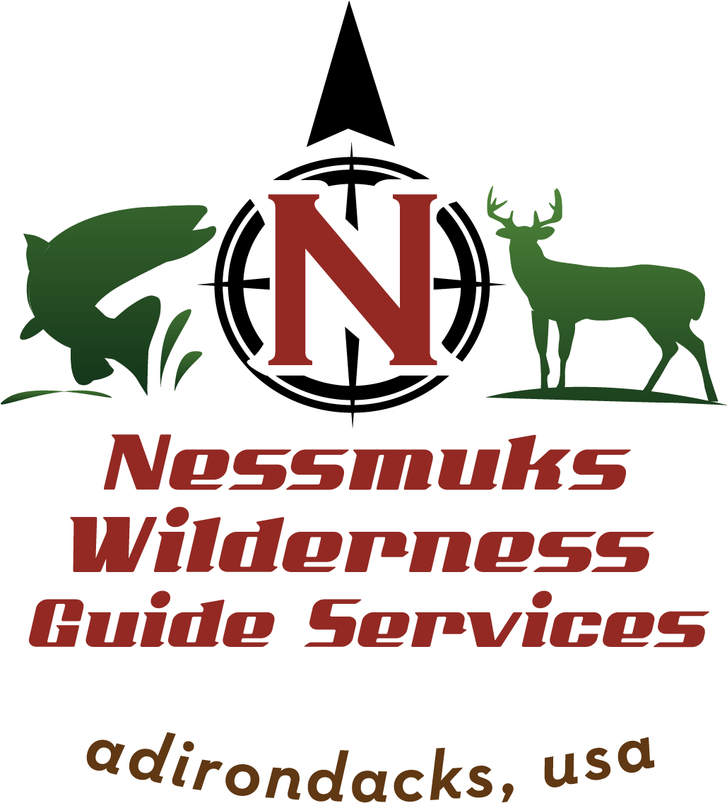 Wilderness Guides Marlborough Sounds (1028x1157), Png Download