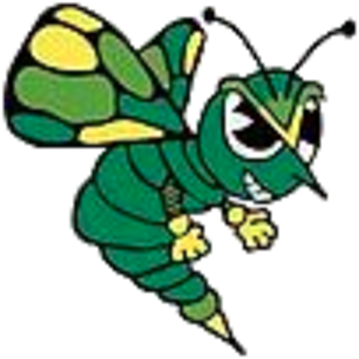 The Greenfield-northwestern Coop Tigers Vs - Brown County Hornet (720x720), Png Download