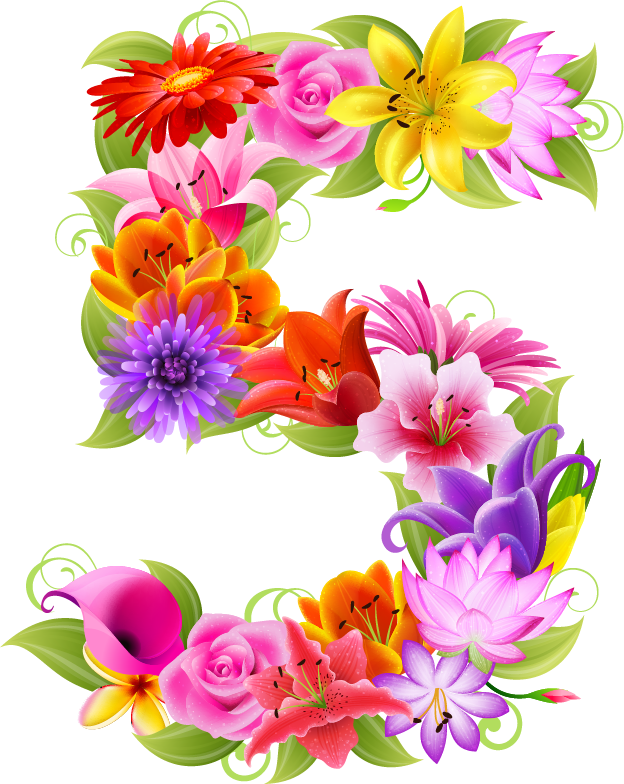 Zona 10 Preescolar Chignahuapan - Flowers Numbers (624x784), Png Download