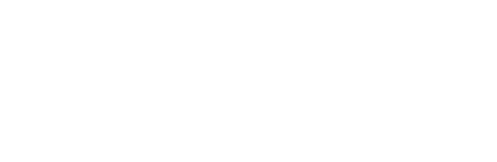 New Bison Rebrand Logo V2 White (1000x326), Png Download
