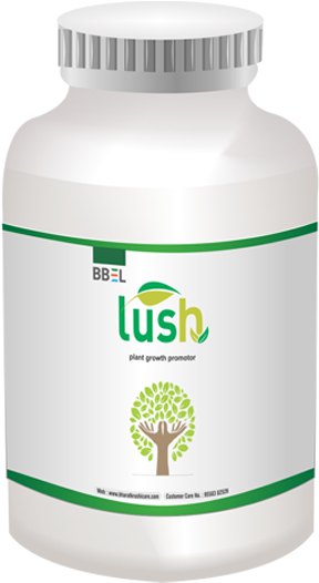 Bbel Lush Is A Dark Brown Liquid Formulation Prepared - Plastic Bottle (800x526), Png Download