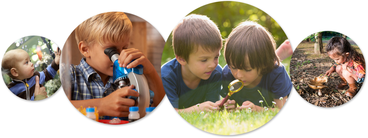 Curiosity-image - Toddler (1181x442), Png Download
