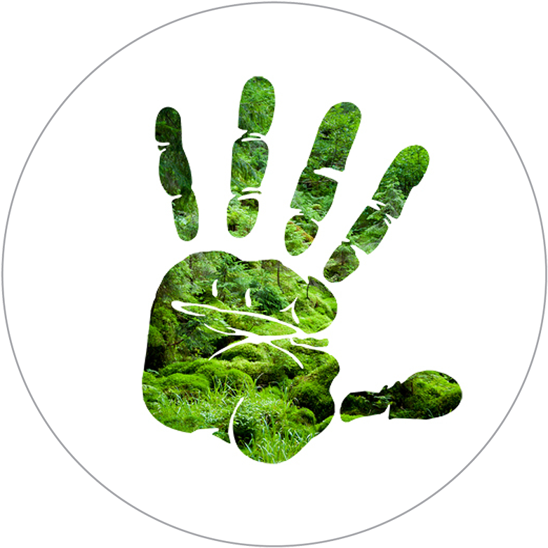Silhouette Of Hand Over Forest Scene - Stop Hand Sign Png (800x800), Png Download