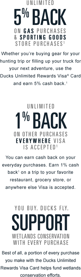 Unlimited 5% Back On Gas Purchases & Sporting Goodes - Back Home (400x998), Png Download