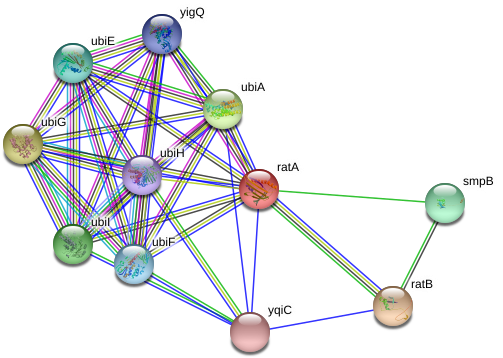 Circle (975x393), Png Download
