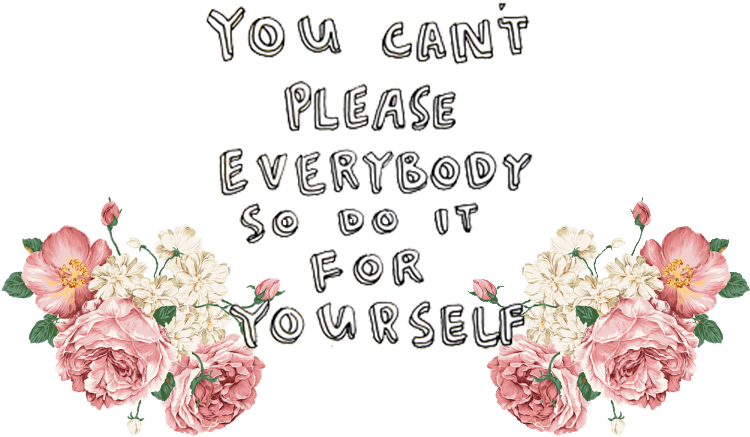 download you cant please everyone png image with no you cant please everybody