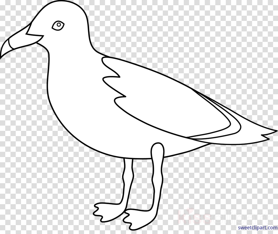 Download Seagull Black And White Clipart Gulls Clip - Gaviota Dibujo (900x760), Png Download