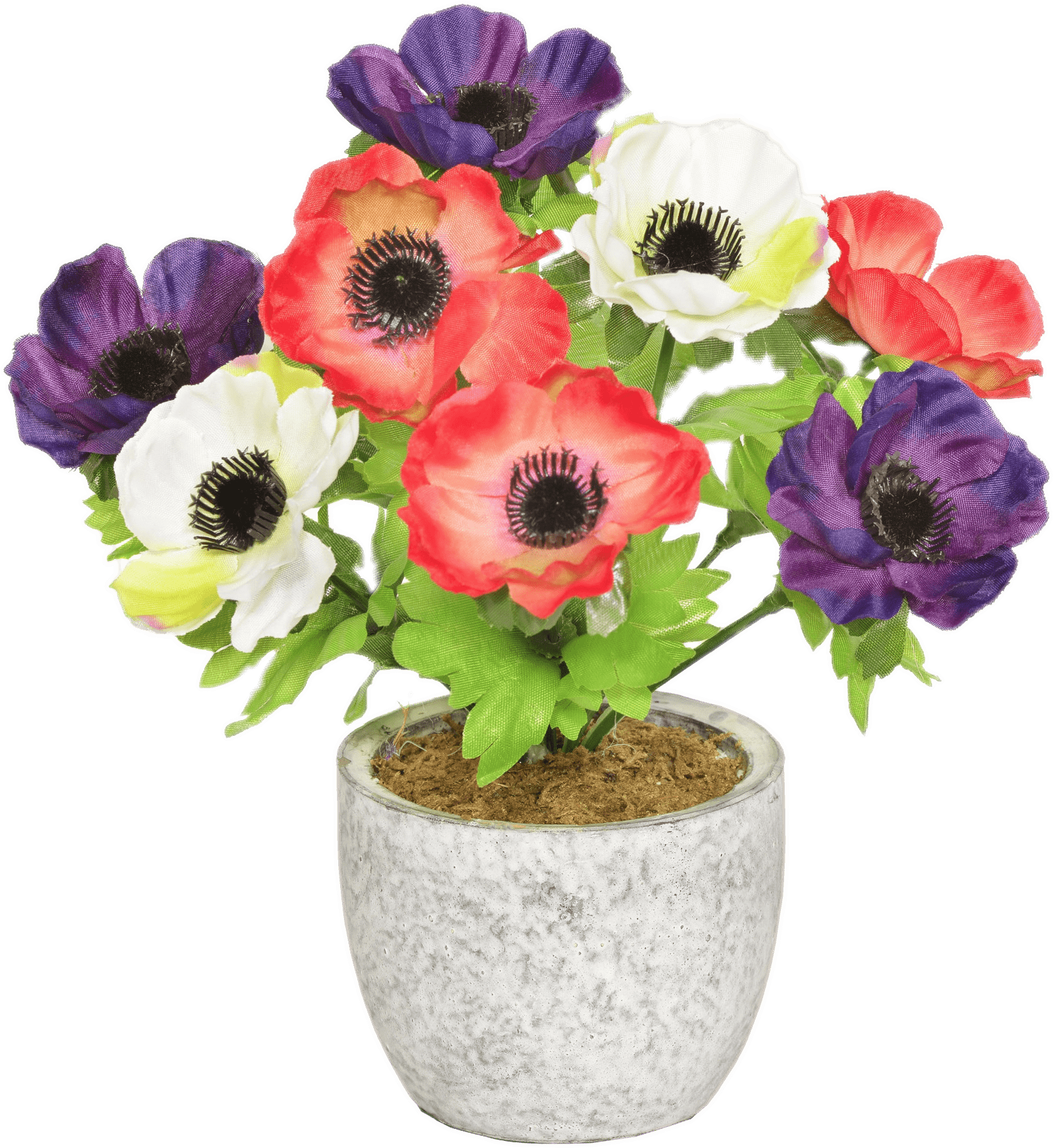 Colourful Anemones In A Pot - Artificial Flower (2220x2176), Png Download