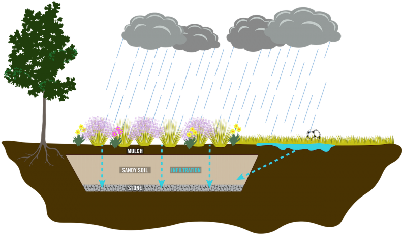 With Population Growth And Increased Land Development - Graphics (800x537), Png Download