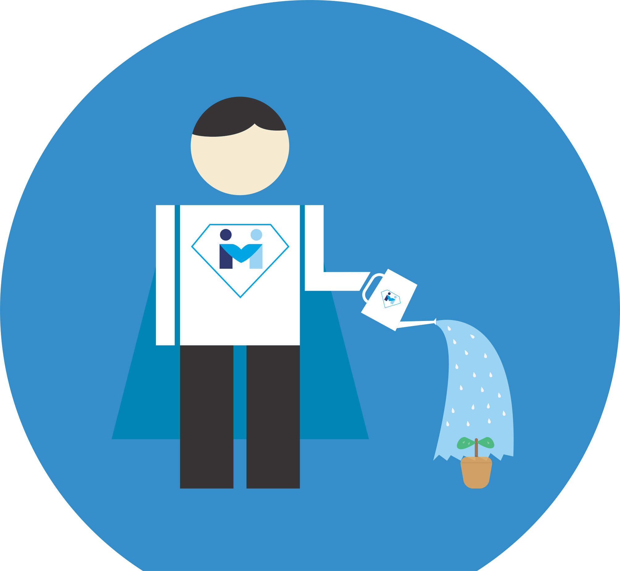 Pot Plant - Camera Icon (2008x1850), Png Download