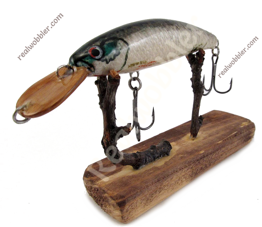 Display All Pictures - Bait Fish (1200x900), Png Download