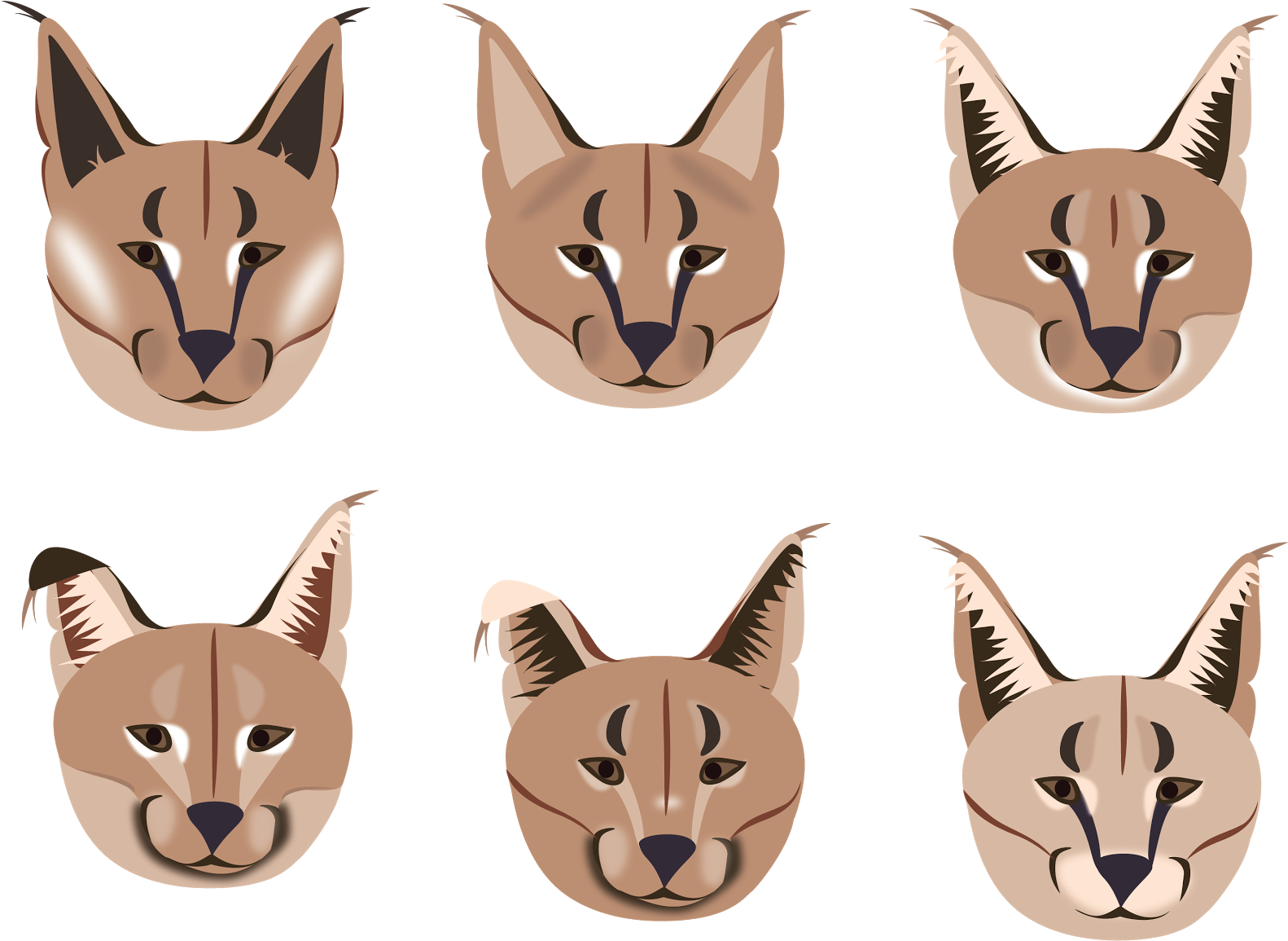 To Get The Facial Marking Right - Cat Yawns (1600x1203), Png Download