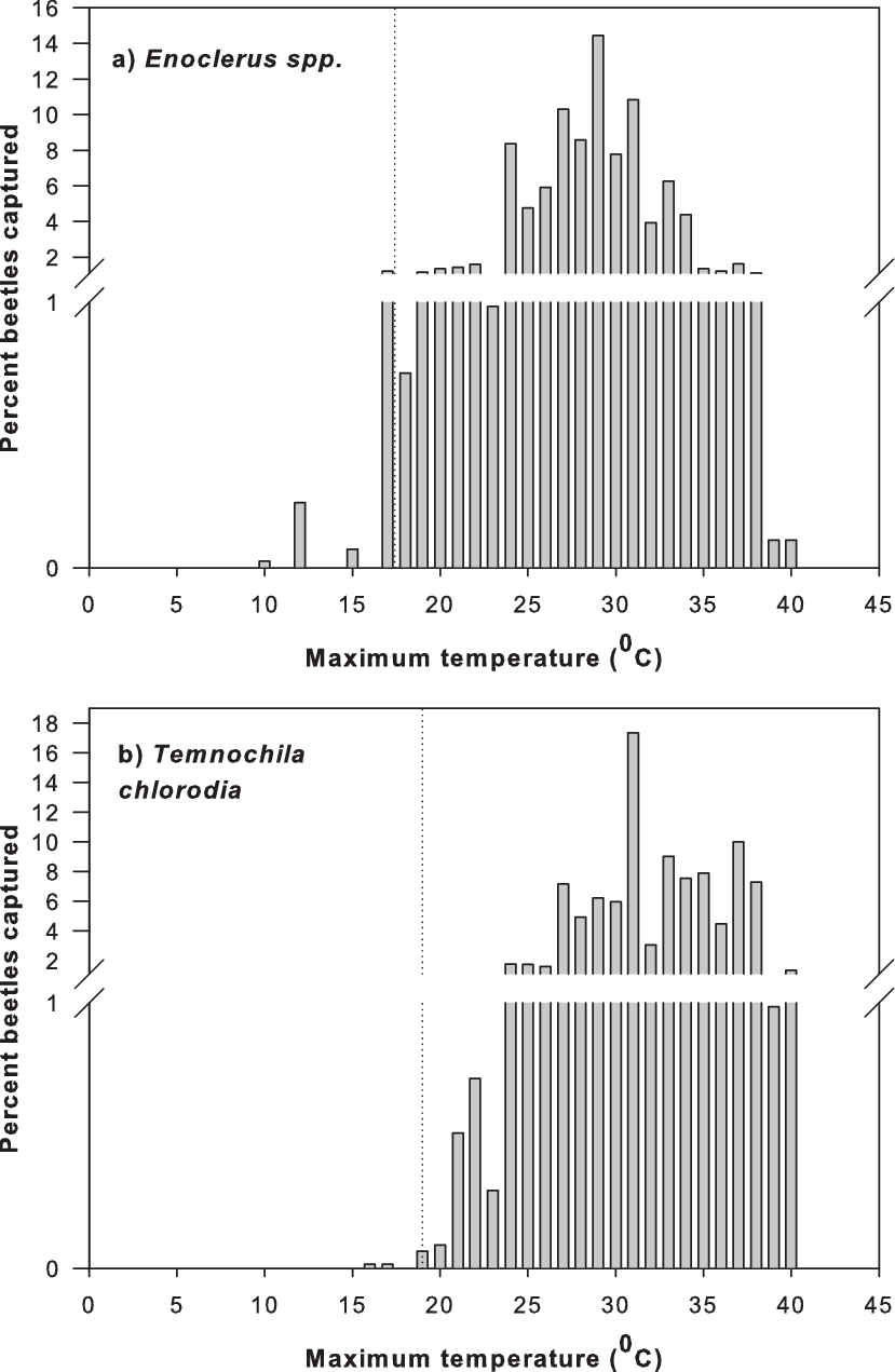 Percent Of Total Enoclerus Sp - Diagram (829x1271), Png Download