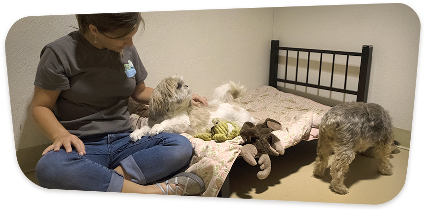 Our Slumber Party Is A Wonderful, Communal Take On - Sitting (900x500), Png Download