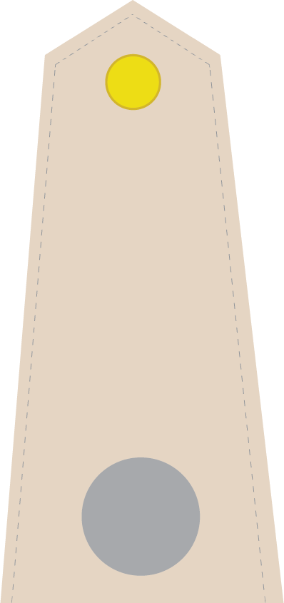 Thượng Sĩ-army 1 - Smartphone (398x845), Png Download