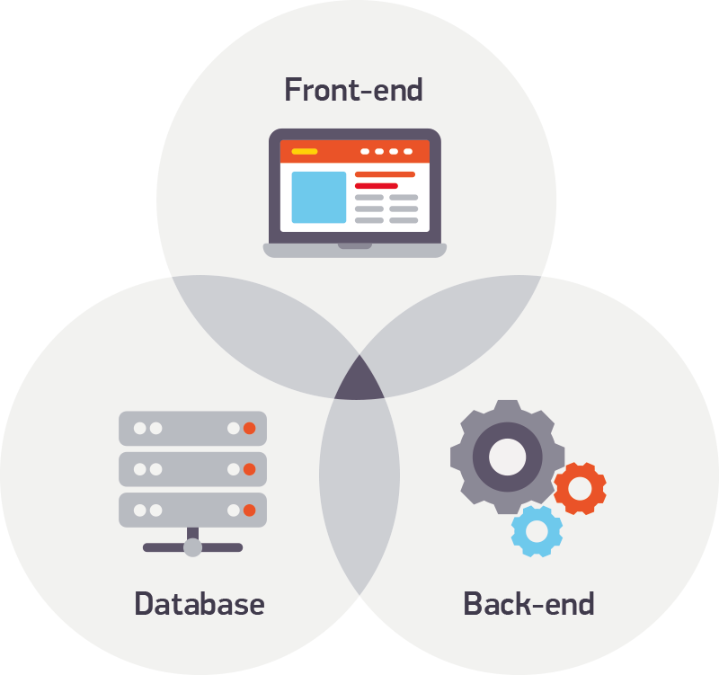 Or Created From Scratch - Software Developer (800x751), Png Download