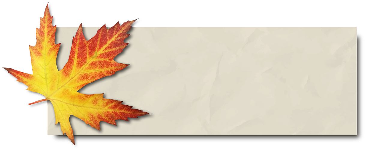 Autumn Banner Png - Maple Leaf Banner (960x429), Png Download