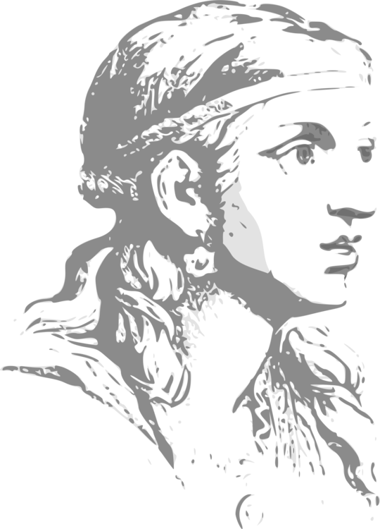 Face Facial Expression Download Silhouette Human - Silhouette Clipart Woman Face (540x750), Png Download