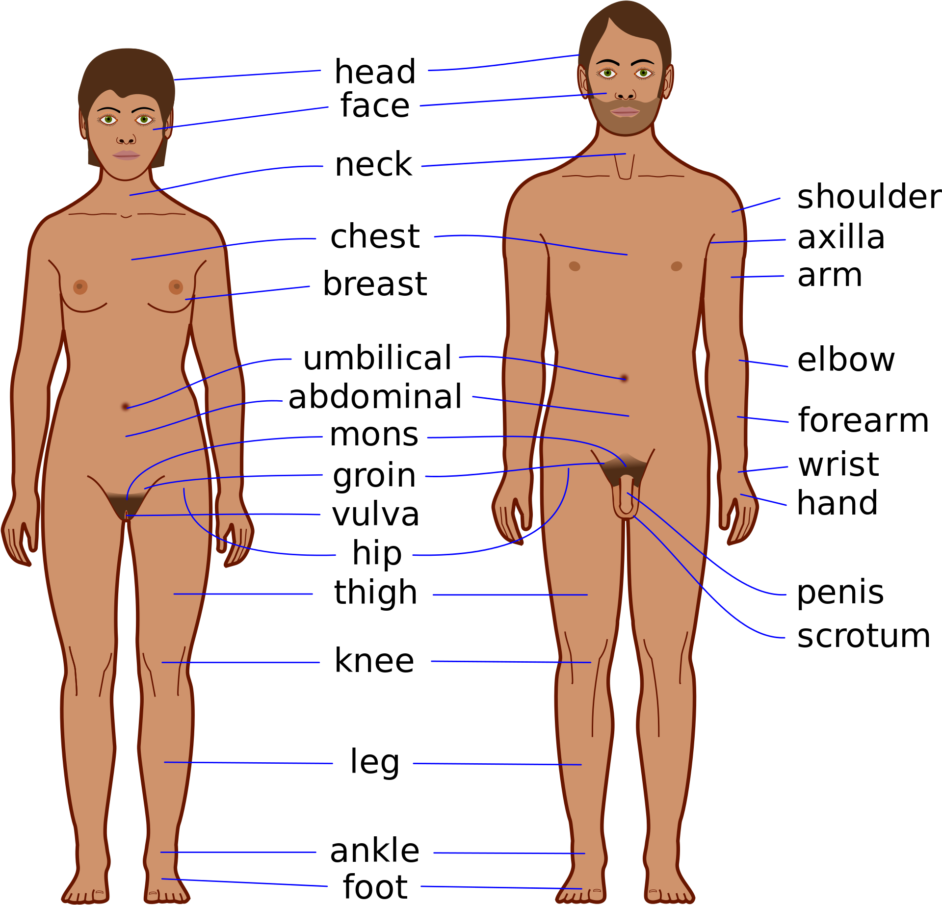 Open - Body Features (2000x1972), Png Download