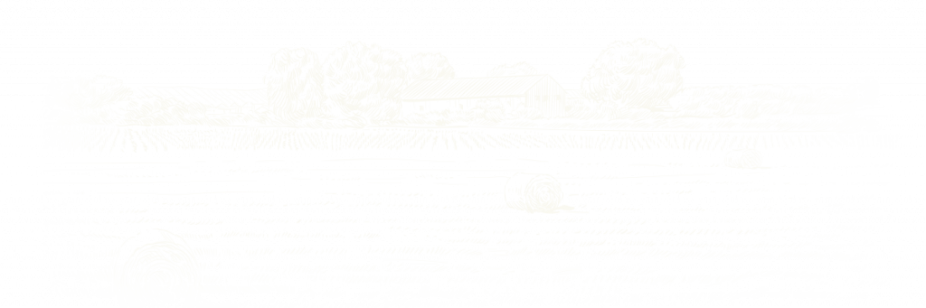 Milano Plain Bread Crumbs - Beige (1024x341), Png Download