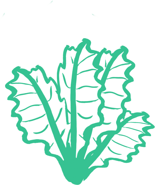 Kale - Kale Silhouette Png (550x733), Png Download