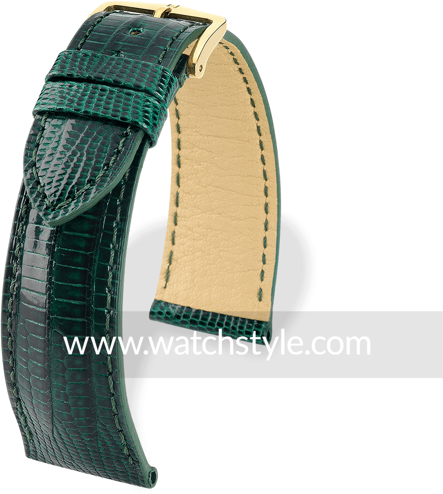 Hirsch Tejus Green Shiny - Watch Strap (1200x1200), Png Download