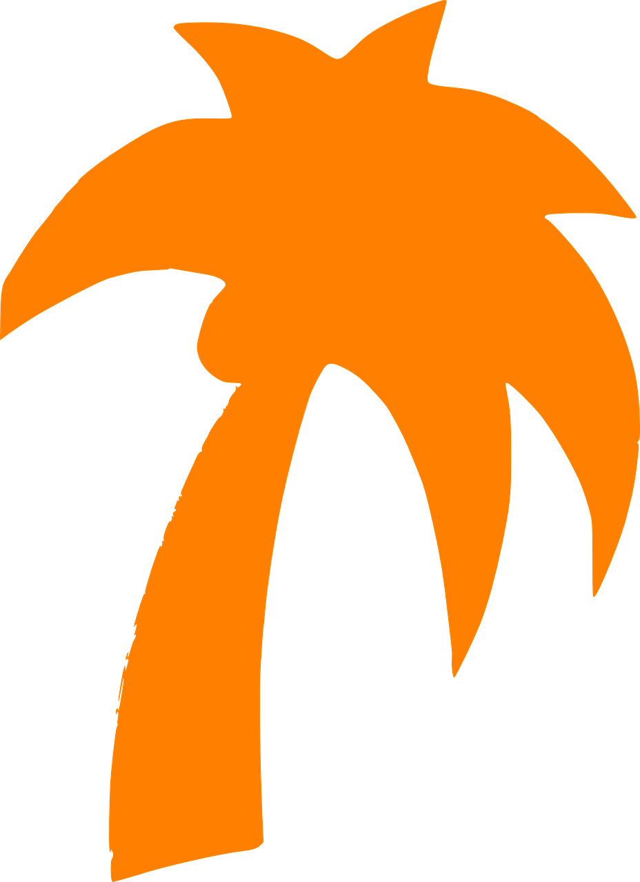 Shooting Star Png Transparent Background - Sombra De Una Palmera (522x720), Png Download