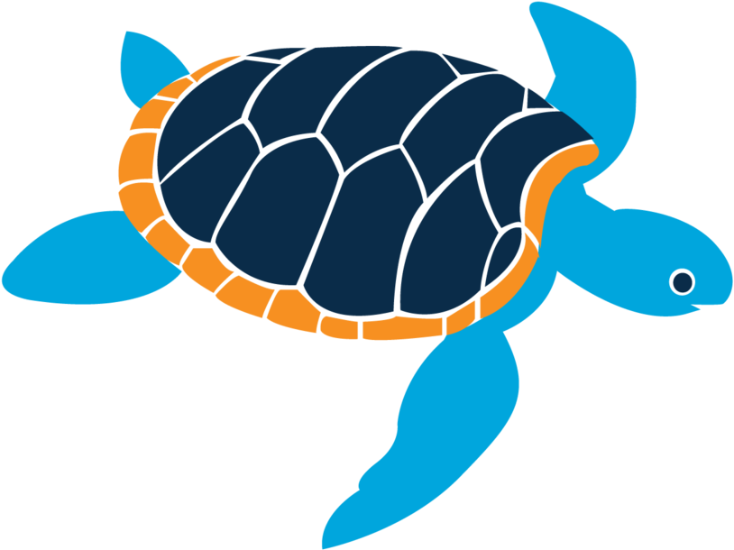 In The Fall Of 2013 The Early Learning Center Was Launched - Turtle (1000x1000), Png Download