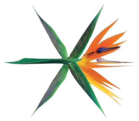 Exo Logo Png Наклейка Png Avatan Plus - Exo Kokobop Logo Transparent (587x598), Png Download