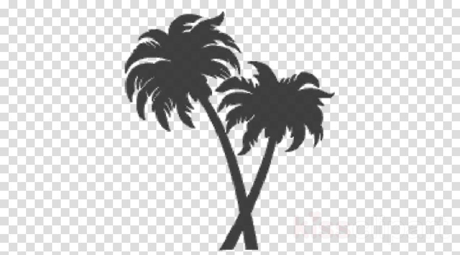 Download Silhouette Two Palm Tree Png Clipart Palm - Silhouette Palm Trees Png (900x500), Png Download