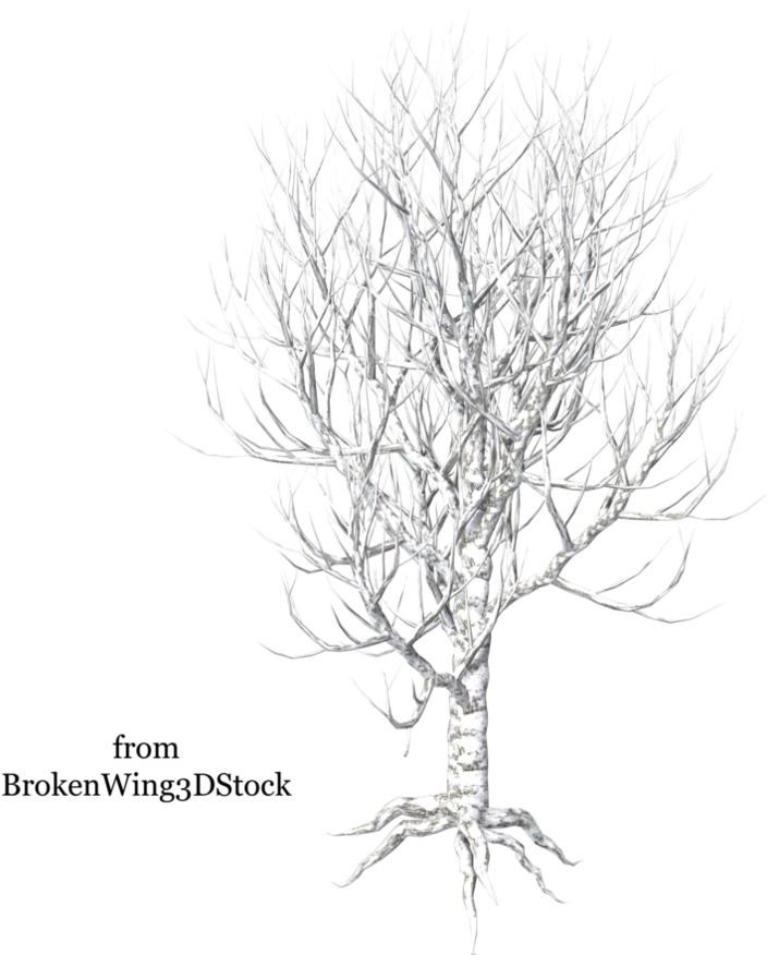 Go To Image - Tree (894x894), Png Download