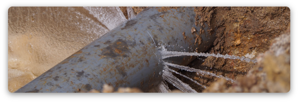 Leakdetection - Portable Network Graphics (1000x363), Png Download