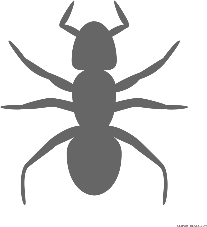 Banner Download Ant Clipart Black And White - Ant Clip Art (958x958), Png Download