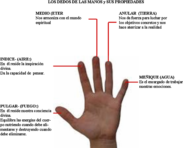 20 De Enero De - Poder De Las Manos (640x497), Png Download