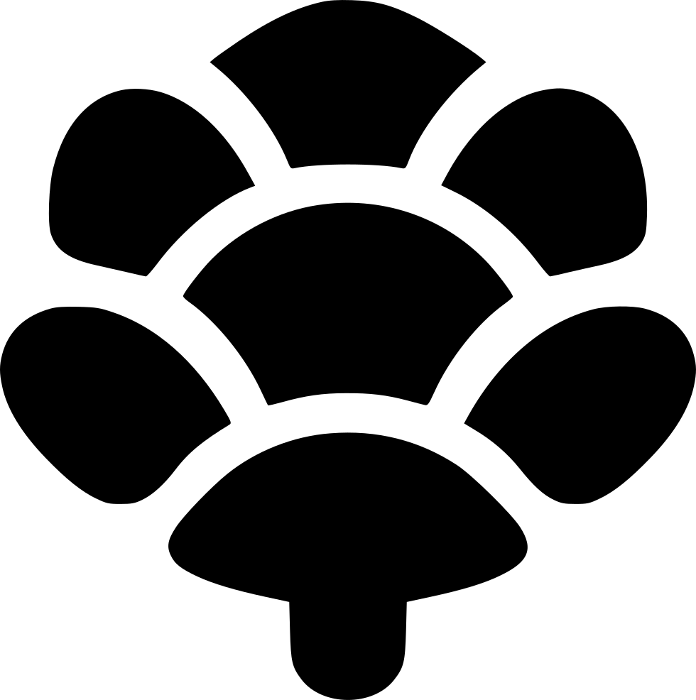 Png File - Turtle (980x986), Png Download