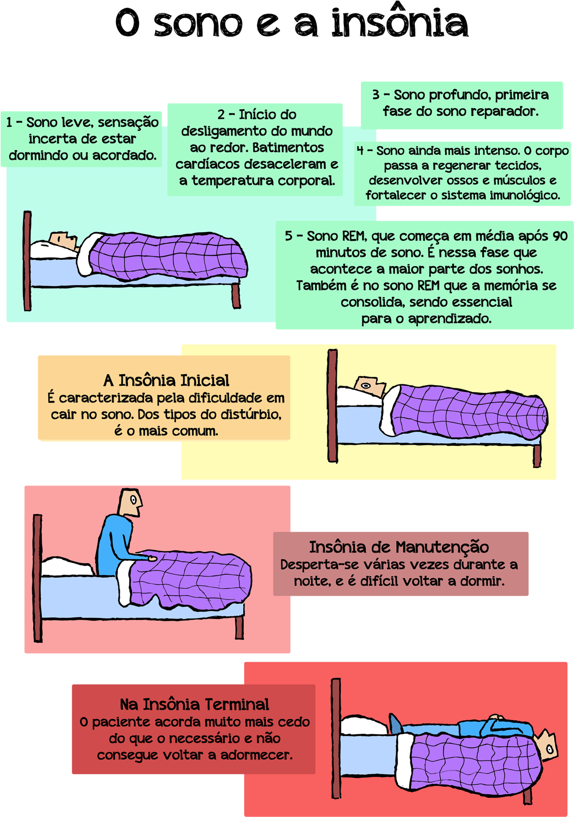 Usp Inicia Primeiro Estudo Com Humanos Sobre Os Efeitos - Poster (1161x1700), Png Download