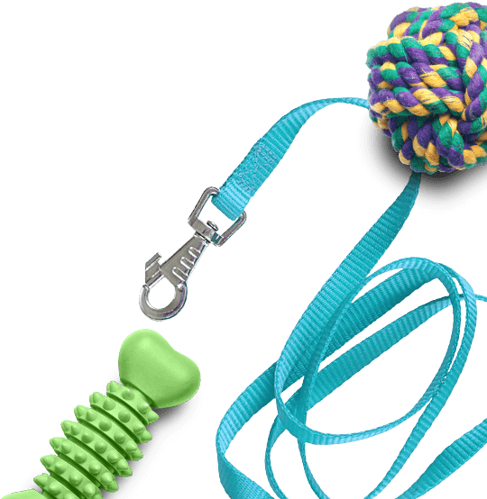 “our 100% Petproof Floors Are Good At Staying Beautiful - Dog Toy (545x583), Png Download