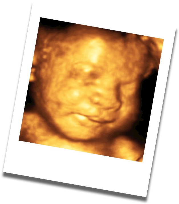 World Of My Baby Offers A Full Range Of Services For - Photograph (645x731), Png Download