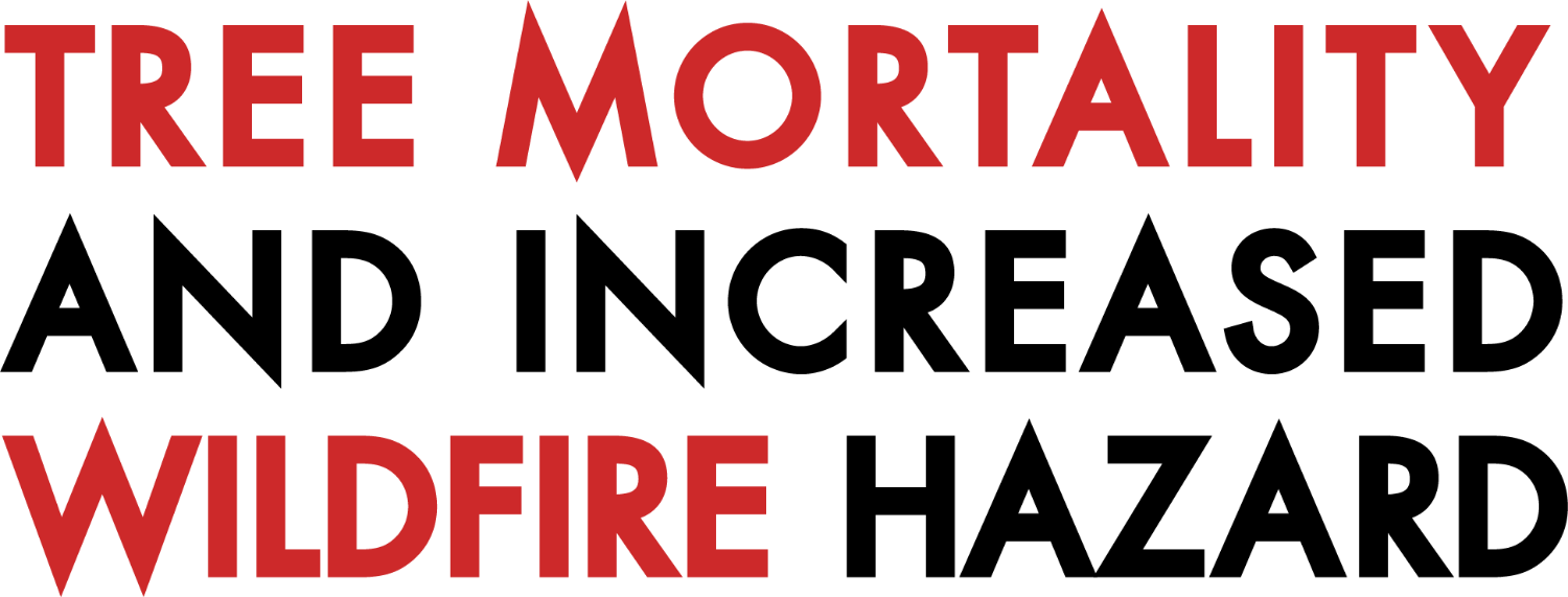 As The Number Of Dead Trees Continues To Rise It Will - Suki-ya Pavilion Kl (1500x571), Png Download