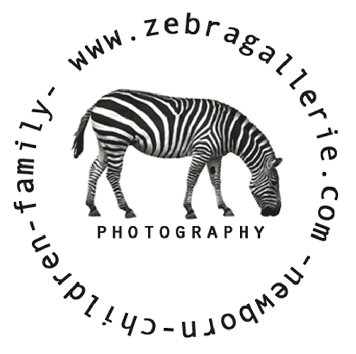 Cart $0 - 00 - Zebra (800x800), Png Download