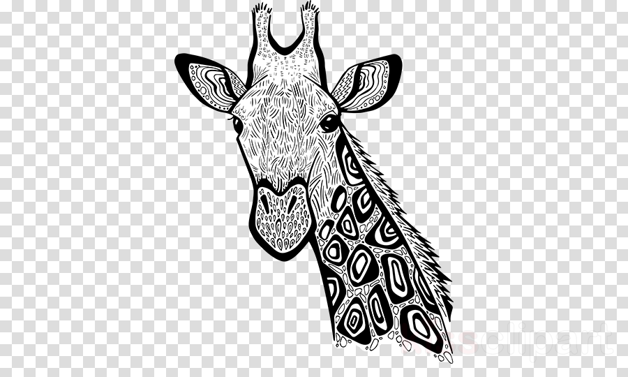 Zentangle Giraffe Art Clipart Giraffe Line Art - Icon Png Cook (900x540), Png Download